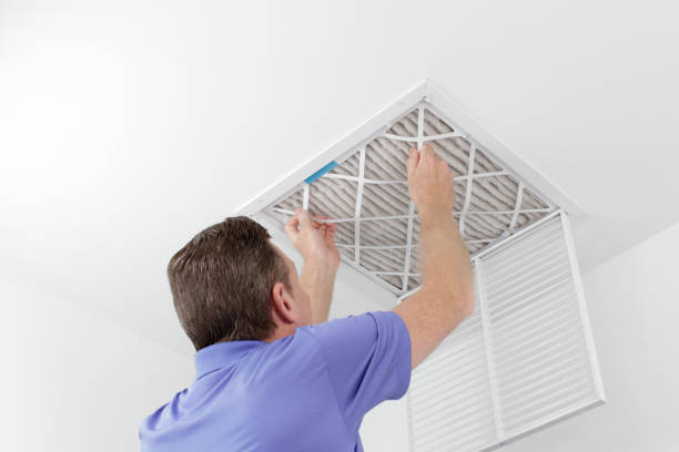 Best Mold and Mildew Removal from Ducts in Canton, PA